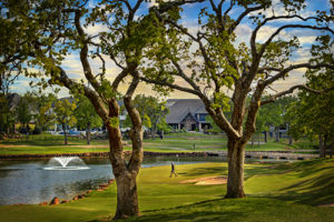 Moving Companies in Oak Tree, Edmond, OK